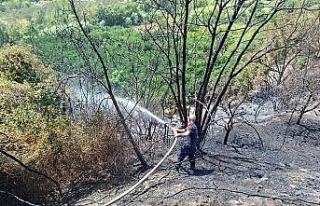Samandağ’da bahçe yangını kısa sürede söndürüldü