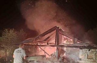 Samanlık yangında kül oldu