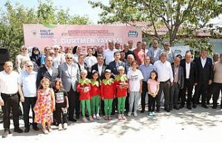 Samsun’da çileğin kalbi Dürtmen Yaylası’nda...