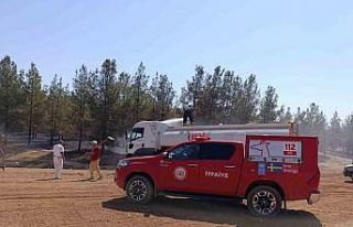 Şanlıurfa’da orman yangını
