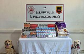 Şanlıurfa’da tütün ve alkol kaçakçılarına...