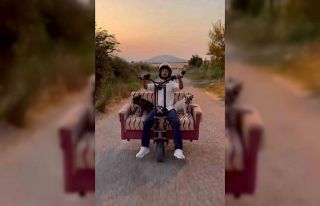 Scootere koltuk monte edip, köpekleriyle yolculuk...