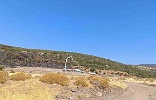 Şehzadeler’deki orman yangınıyla ilgili 1 kişi...