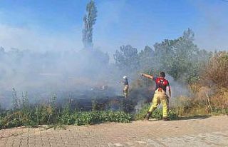 Selçuk’ta sazlık alanda yangın paniği