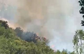 Şemdinli’de orman yangını