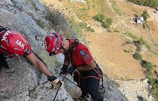 Serik’te uçurumda 3 gündür mahsur kalan keçi,...