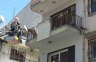 Sevimli kediyi kurtarmak için tüm ekipler seferber...