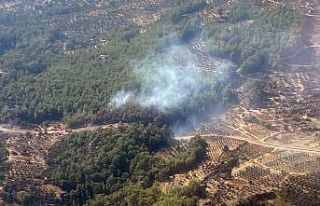 Seydikemer orman yangını kısa sürede kontrol altına...