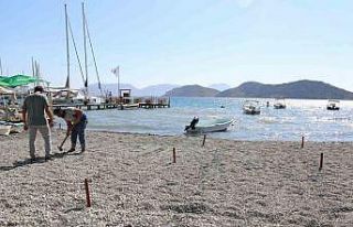 Sezon bitti, Marmaris Belediyesi plajları düzenlemeye...
