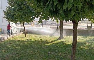 Siirt il otogarında kapsamlı temizlik ve bakım...