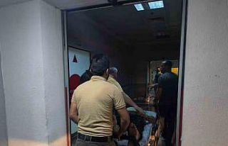 Siirt’te ağaçtan düşen adam yaralandı