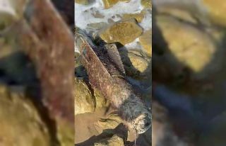 Şile sahilinde roket başlığı olduğu değerlendirilen...