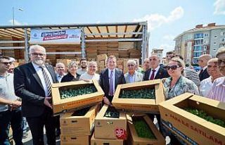 Silivri’de Kışlık Sebze Fidesi Dağıtım Töreni...