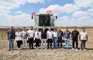 Silivri’de yaklaşık bin 500 dekar alanda ayçiçeği...