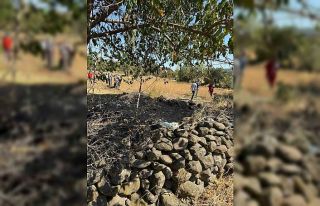 Sındırgı’da ot yangını bahçedeki yapıya sıçradı
