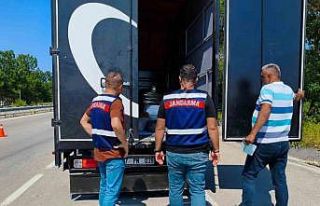 Sinop’ta düzensiz göçmen uygulaması