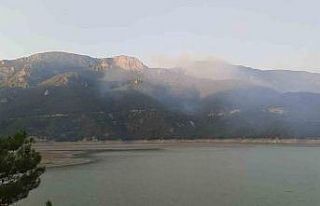 Sinop’taki orman yangınına havadan ve karadan...