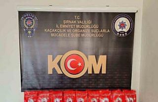 Şırnak’ta asayiş, kaçakçılık ve narkotik...