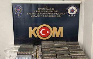 Şırnak’ta asayiş, kaçakçılık ve narkotik...