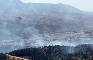 Şırnak’ta örtü yangınına havadan ve karadan...