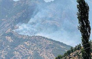 Şırnak’taki orman yangını 9 saatte kontrol altına...