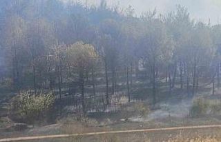 Soma yangınında bir mahalle boşaltındı, bir kişi...