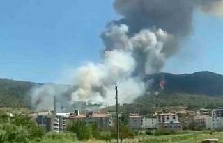 Soma’da orman yangını