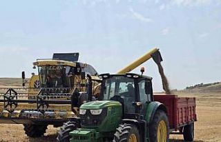 Sorgunlu üretici nohut için tescil istiyor