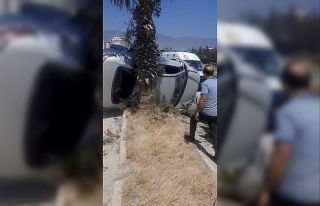 Takla atan otomobil ağaça çarparak durabildi