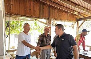 Tarihi Alan Başkanı Kaşdemir, yangında etkilenen...