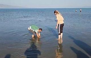 Tarihi sütunlar gün yüzüne çıktı