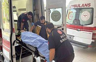 Tarım işçilerini taşıyan minibüs uçuruma yuvarlandı:...