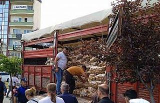 Tarlasında yetiştirdiği 20 ton patatesi vatandaşa...