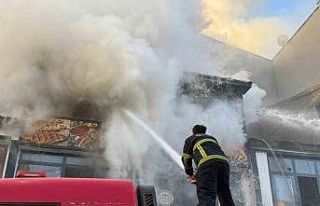 Tatvan’da yangın korkuttu