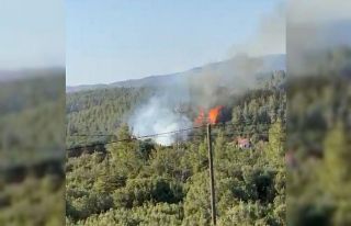 Tavas’ın ciğerlerini ateşe veren kundakçılardan...