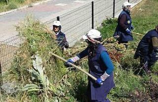 Tavşanlı’da kadın işçilerin sıcağa karşı...