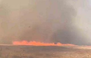 Tekirdağ’da alevler tarla ve ormanı sardı: 10...