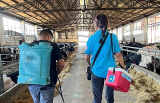 Tekirdağ’da hayvan hastalıklarıyla mücadelede...