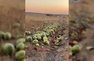Tekirdağ’da israf tepkisi: Karpuzlar yola saçıldı