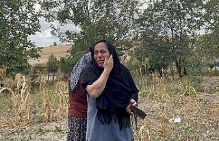 Tekirdağ’da korkutan yangın: Mahsur kalan kediler...