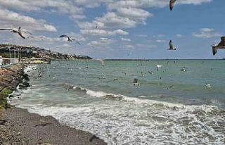 Tekirdağ’da poyraz deniz ulaşımını aksattı