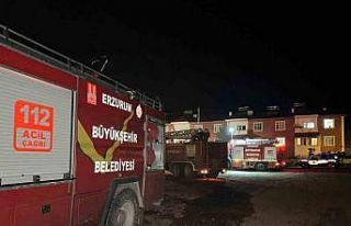 Tekman’da korkutan yangın