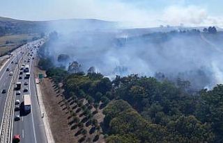 TEM Otoyolu kenarındaki ağaçlık alanda çıkan...