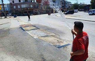 Toza halı da çare olmayınca vatandaş bu kez de...