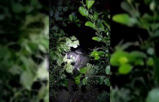 Trabzon’da kontrolden çıkan araç dereye uçtu:...