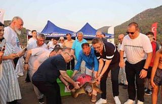 ‘Tuba’ya ikinci kez uydu takip cihazı takıldı