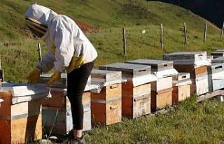 Tunceli Arıcı Yetiştiricileri Birliği bal alım...