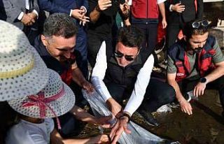 Tunceli’de 850 bin adet balık suyla buluşturuldu