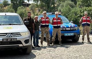 Tunceli’de jandarma ekiplerinden orman yangınları...