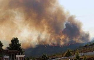 Türkiye - Suriye sınırının sıfır noktasında...
